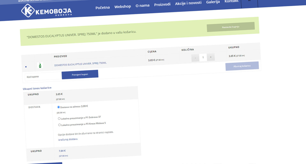 Online store development