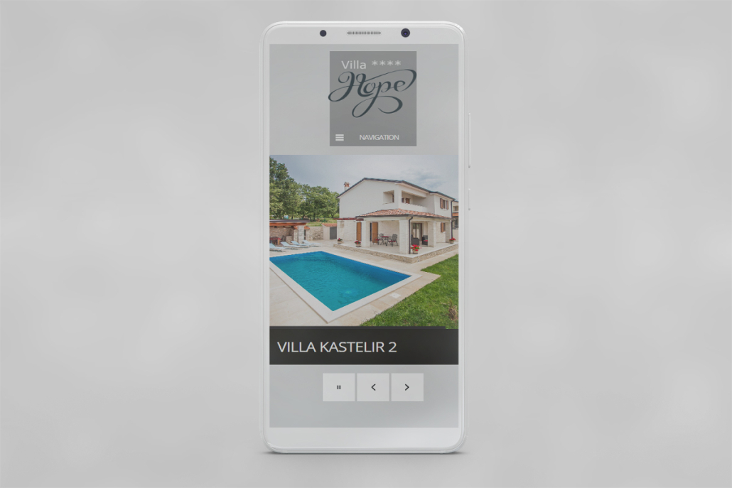 Website Development Service